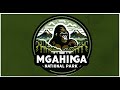 Mgahinga Gorilla National Park Is Uganda S Smallest National Park In Southwestern Created In 1991