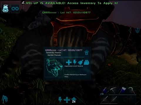 How to tame a Tek rex