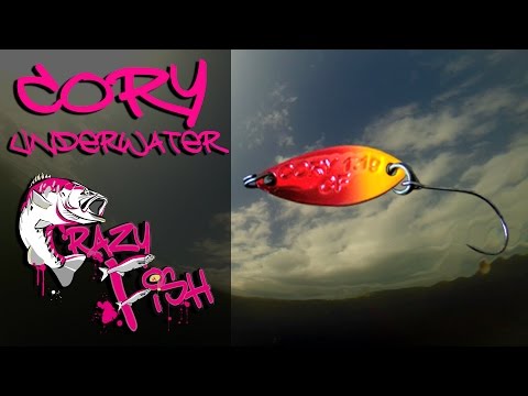 Crazy Fish Cory 1.1g 37