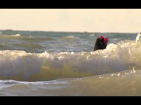 National Weather Service issues beach hazards statement for Lake Erie