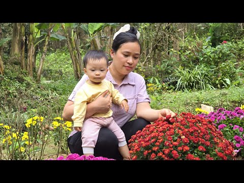 A Lush Green Farm, a Peaceful Life Caring For Livestock. | Ly Thi Ca