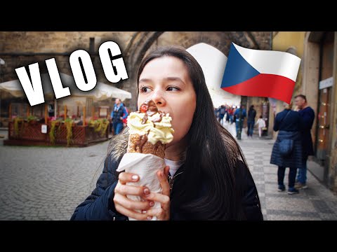 My Trip To Petrof Pianos In Czech Republic! | VLOG