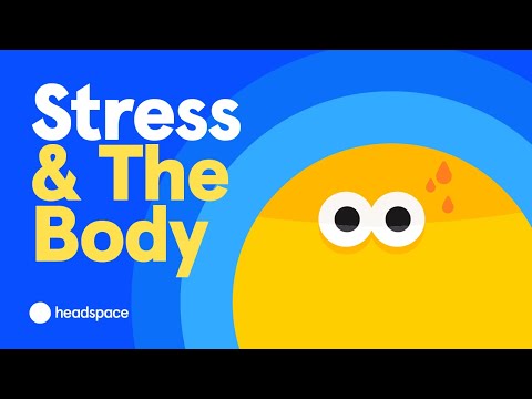 The Science of Stress: How Does Stress Affect Our Brains and Bodies?