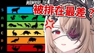 貘是最爛的哺乳動物？Nimi 被釣到開始瘋狂護航 【Nimi Nightmare｜VTuber 中文精華】
