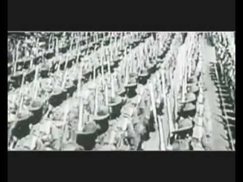 dktrem project / Vertigo home