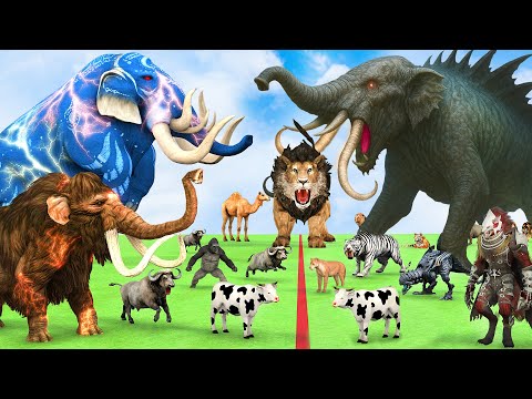 5 Giant Elephant Cow Vs Giant Angry Indian Elephant Vs 5 Giant Lion Tiger Saved By Wolly Mammoth