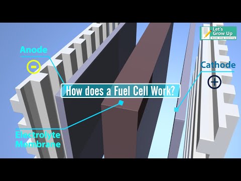 image-Do fuel cells wear out?