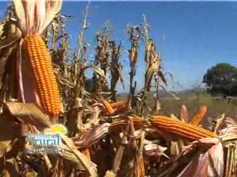 BLOQUE 3 PALABRA RURAL