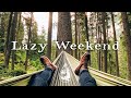 Lazy Weekend A Chill Indie Folk Pop Playlist