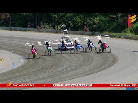Prova di Qualifica del 28 Giugno 2023 - 2 Anni - Metri 1600