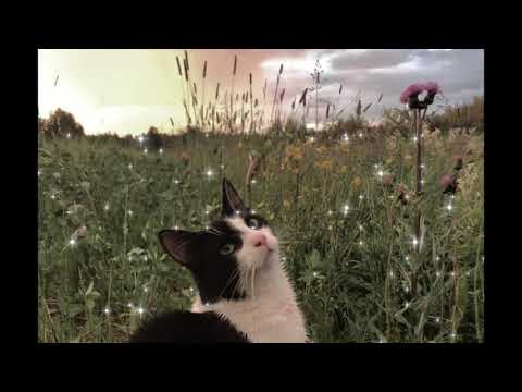 tired! - $werve, hospicemane