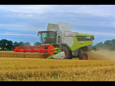 Getreideernte 2021/ Claas Lexion 5300