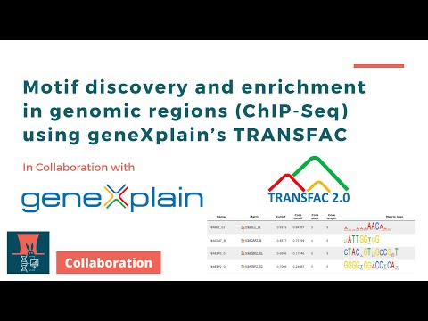 Motif discovery and enrichment in genomic regions (ChIP-Seq) using TRANSFAC