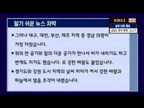 성인발달장애인을 위한 ′알기 쉬운 자막′ 방송 효과 분석:KBS뉴스9