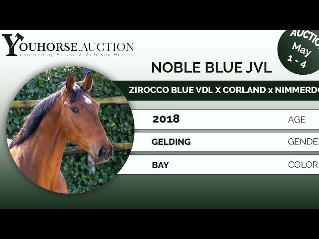 Noble Blue JVL