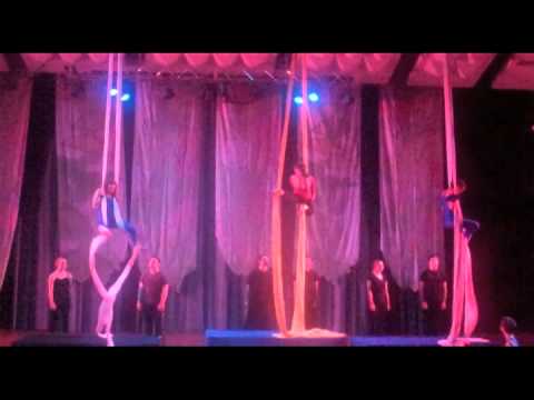 Once Upon a Circus- Up the Beanstalk