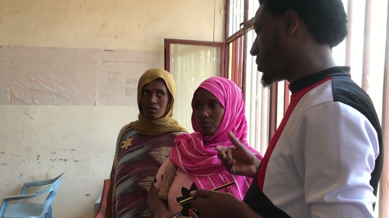 4. I ministri del Regno