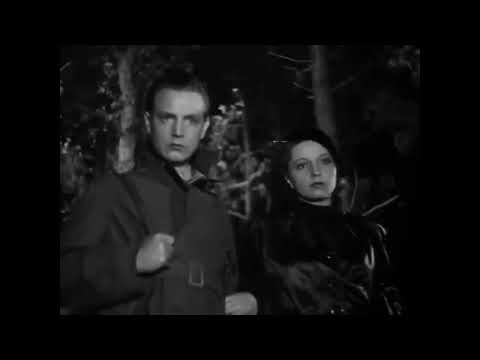 CiZiF - Schwarzes Quadrat