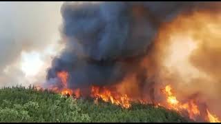 Yangın Alanya'ya ulaştı! Güzelbağ Mahallesi tahliye ediliyor
