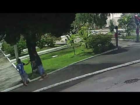 Polícia Civil identifica autores de depredação em decoração natalina de Timbé do Sul