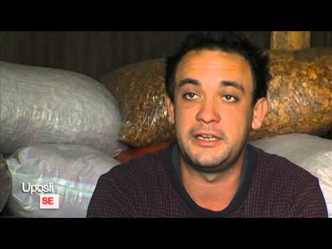 Uposli se   7. emisija -  Otkup lekovitog bilja