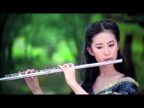 Beautiful Chinese Music【31】Traditional【The Red Plum Blossoms】