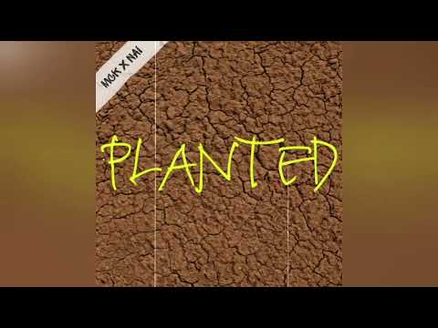 MCK - PLNTD ft. Nai