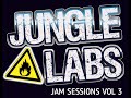 Jungle Mix Old School Meets New Jungle Labs Jam Sessions Vol 3