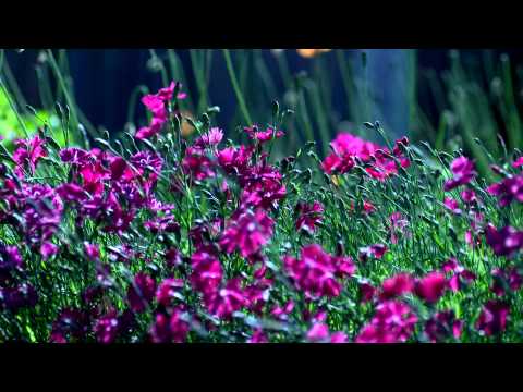 SKYLINE | SILENT PARTNER - HOW IT BEGAN (INTERACTIVE MUSIC VIDEO)