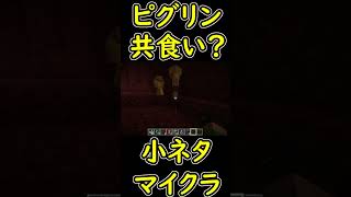 ピグリン、それって共食いになりませんか？　【マイクラ/マインクラフト】 #shorts