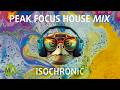 Download Peak Focus For Complex Tasks House Turtle Mix With Isochronic Tones Mp3 Song