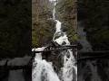 Shortsfeed Youtubeshorts Hikeoregon Waterfall