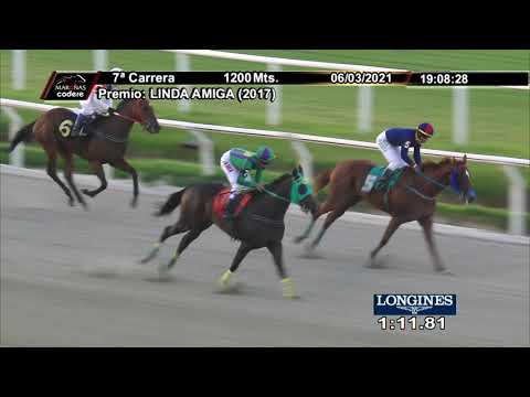 210306 c07 ALTA GAMA