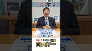 コメの価格をもっと下げよう！　 #国民民主党　＃兵庫3区