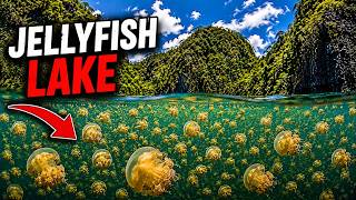 100 Strangest Places and Things You Won't Believe Exist