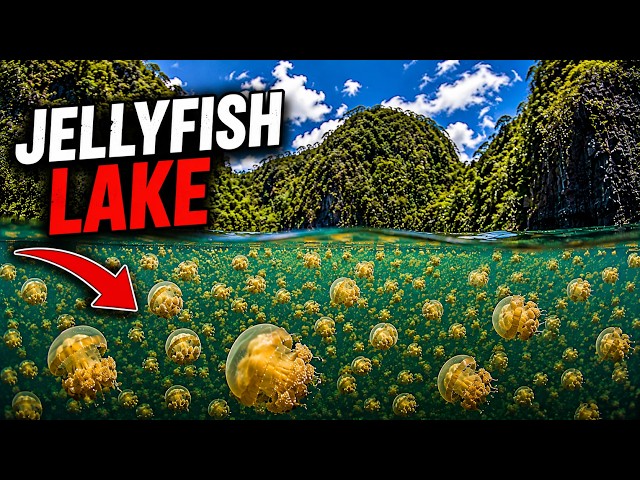 100 Strangest Places and Things You Won't Believe Exist