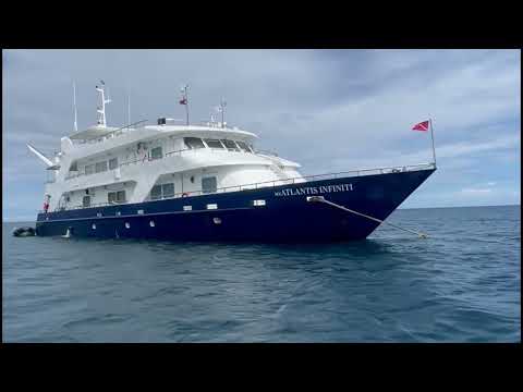 Infiniti liveaboard video