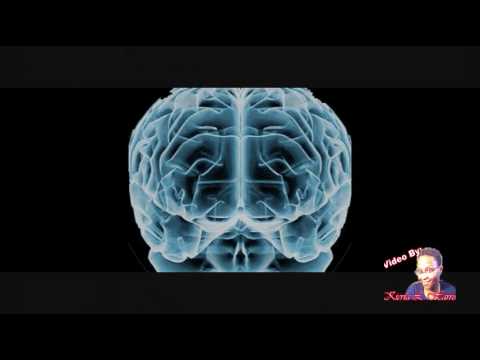 A Divine Flow Freestyle