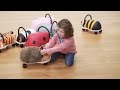 Wheely Bug Hedgehog