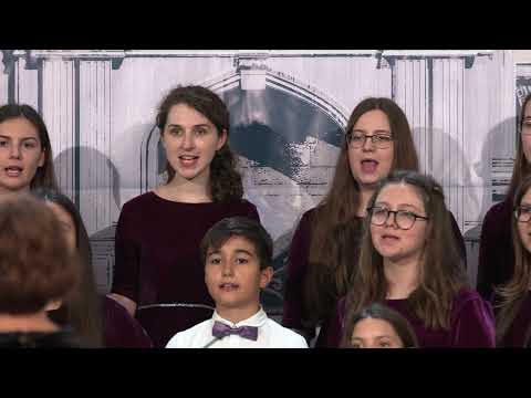 Dynamis 4k: Cântecul culorilor, Cernica - iun.2021