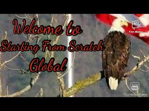 Back in Blood Breeding Colby's Dime and Tudor's Dibo" Garner's Frisco and Frisco jr" #apbt#