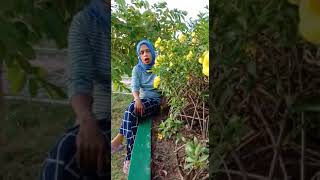 Download lagu Bunga Dahlia ikke nurjanah mp3