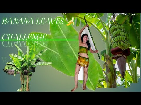 *BANANA LEAVES CHALLENGE *