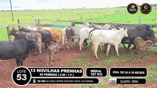 Vídeo LOTE 53