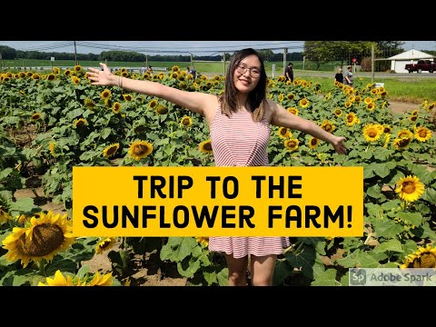 happy farm manalapan happy farm manalapan