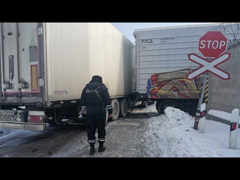 Приговор за убийство фурой с яйцами