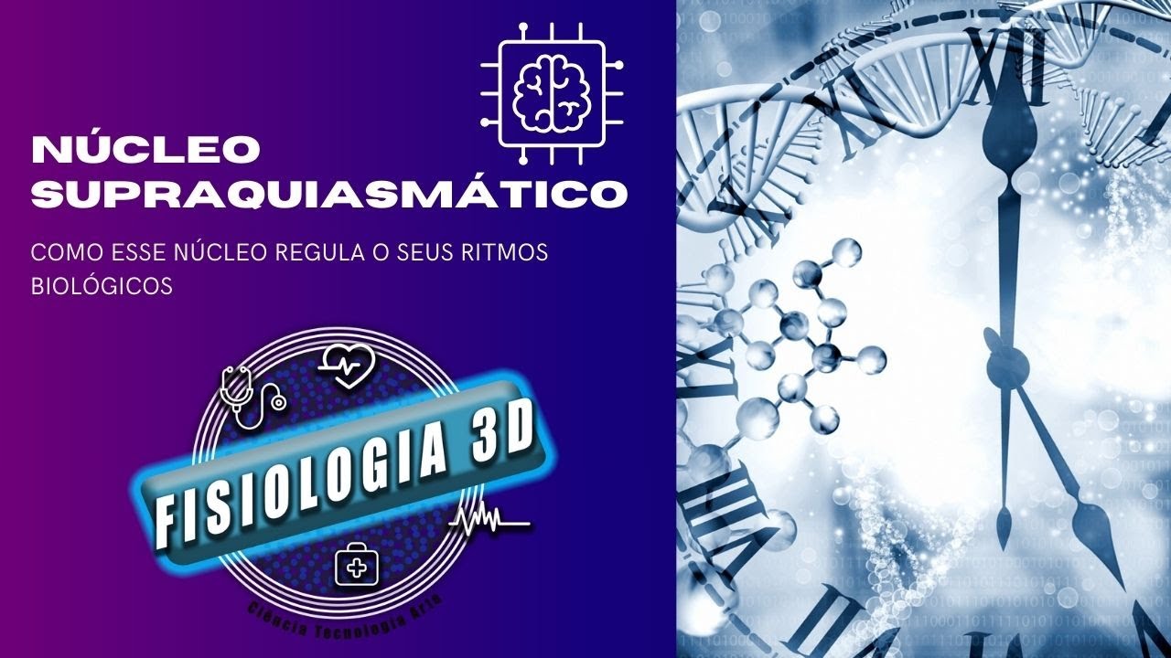 Núcleo Supraquiasmático: O Relógio Biológico Humano e os Ritmos Circadianos