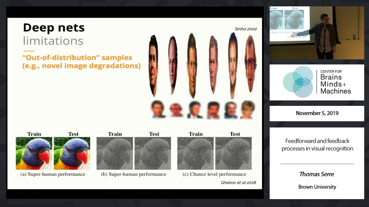 Feedforward and feedback processes in visual recognition