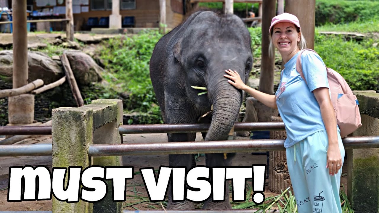 Join a traveler on a captivating journey through the Queen Sirikit Botanical Garden in this video.