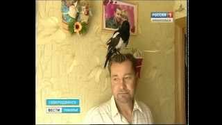 В Северодвинске появилась разговорчивая сорока